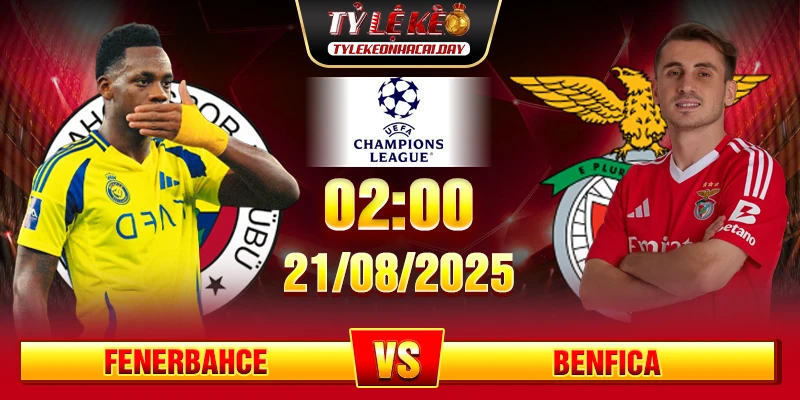 Soi Kèo Fenerbahce Vs Benfica